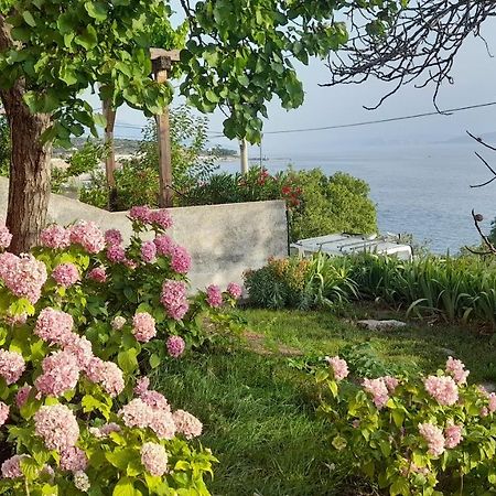 Apartments Mare Croatia Senj  Eksteriør billede