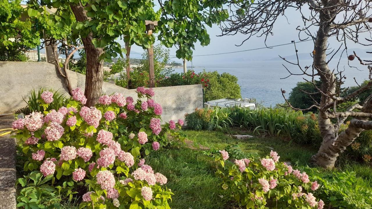 Apartments Mare Croatia Senj  Eksteriør billede